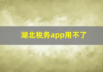 湖北税务app用不了