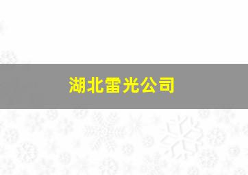 湖北雷光公司