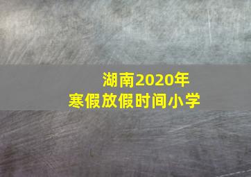 湖南2020年寒假放假时间小学