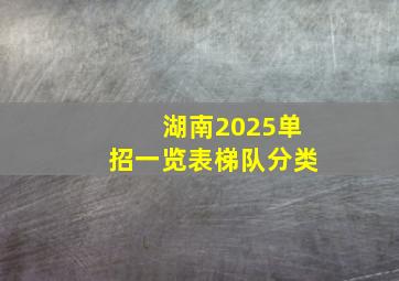 湖南2025单招一览表梯队分类