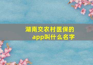 湖南交农村医保的app叫什么名字