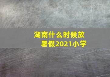 湖南什么时候放暑假2021小学