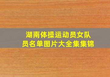 湖南体操运动员女队员名单图片大全集集锦