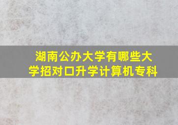 湖南公办大学有哪些大学招对口升学计算机专科