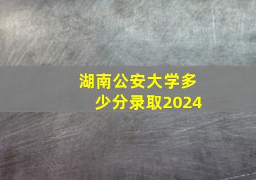 湖南公安大学多少分录取2024