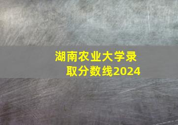 湖南农业大学录取分数线2024