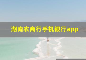 湖南农商行手机银行app