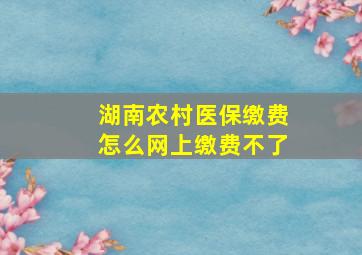 湖南农村医保缴费怎么网上缴费不了