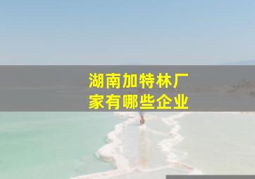 湖南加特林厂家有哪些企业