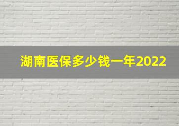 湖南医保多少钱一年2022