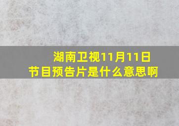 湖南卫视11月11日节目预告片是什么意思啊