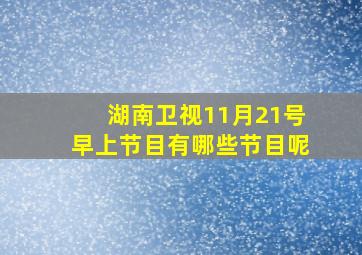 湖南卫视11月21号早上节目有哪些节目呢