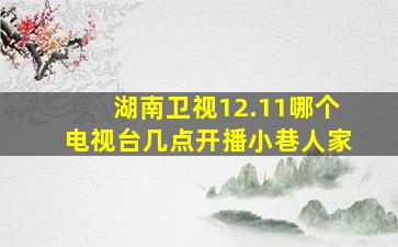 湖南卫视12.11哪个电视台几点开播小巷人家