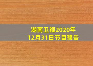 湖南卫视2020年12月31日节目预告