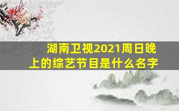 湖南卫视2021周日晚上的综艺节目是什么名字