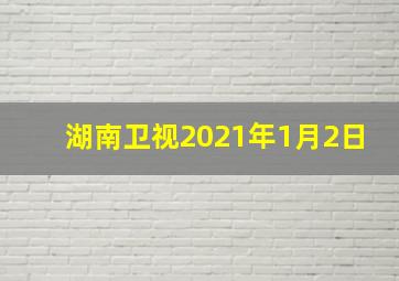 湖南卫视2021年1月2日