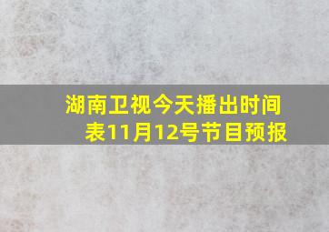 湖南卫视今天播出时间表11月12号节目预报