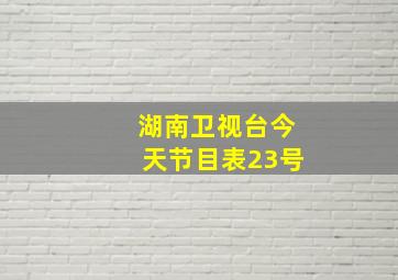 湖南卫视台今天节目表23号