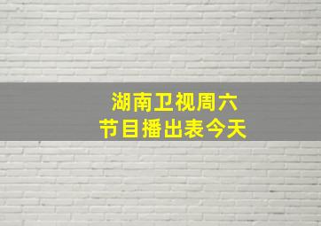 湖南卫视周六节目播出表今天