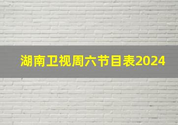 湖南卫视周六节目表2024