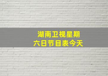 湖南卫视星期六日节目表今天