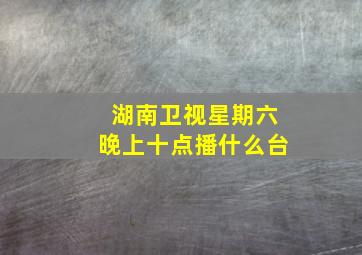 湖南卫视星期六晚上十点播什么台