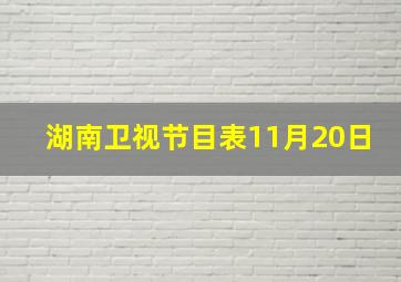 湖南卫视节目表11月20日