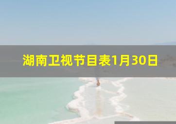 湖南卫视节目表1月30日