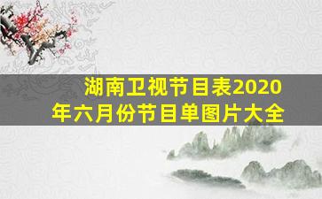 湖南卫视节目表2020年六月份节目单图片大全