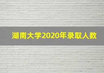 湖南大学2020年录取人数