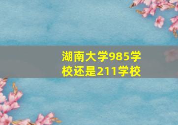 湖南大学985学校还是211学校