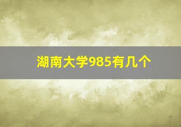 湖南大学985有几个