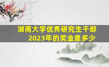 湖南大学优秀研究生干部2023年的奖金是多少