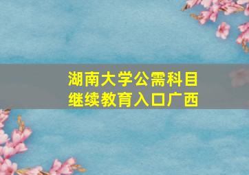 湖南大学公需科目继续教育入口广西