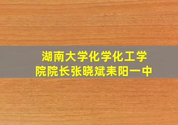 湖南大学化学化工学院院长张晓斌耒阳一中