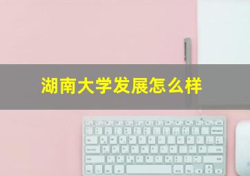 湖南大学发展怎么样