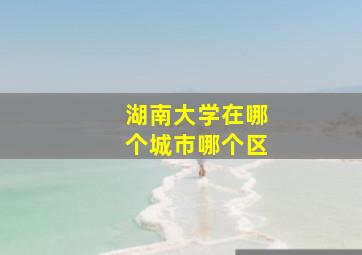 湖南大学在哪个城市哪个区