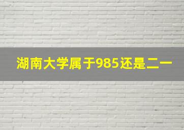 湖南大学属于985还是二一