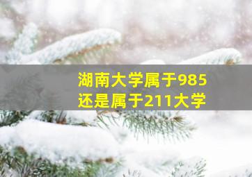 湖南大学属于985还是属于211大学