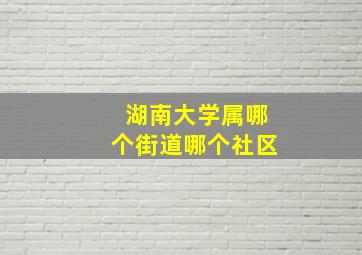 湖南大学属哪个街道哪个社区