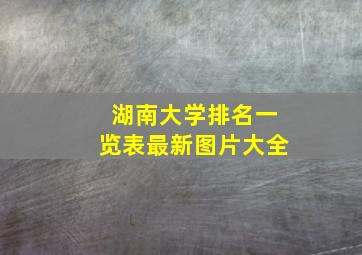 湖南大学排名一览表最新图片大全