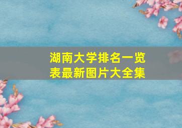 湖南大学排名一览表最新图片大全集