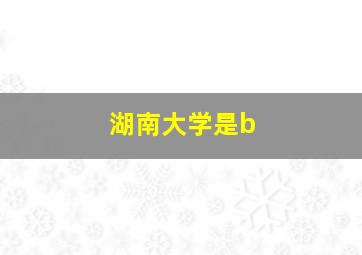 湖南大学是b