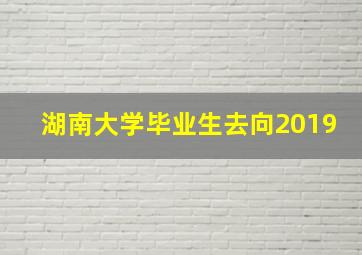 湖南大学毕业生去向2019