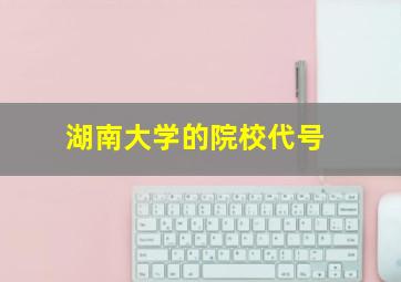 湖南大学的院校代号