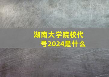 湖南大学院校代号2024是什么