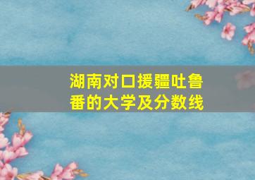 湖南对口援疆吐鲁番的大学及分数线