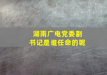 湖南广电党委副书记是谁任命的呢