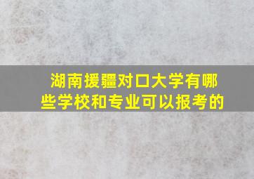 湖南援疆对口大学有哪些学校和专业可以报考的