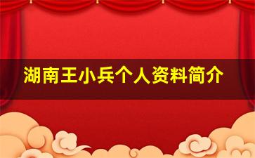 湖南王小兵个人资料简介